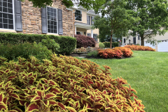 Bluestone Walkway - Mount Laurel, NJ (13)