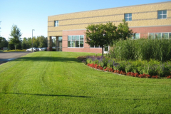 commercial lawn maint
