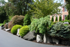 Elegant Landscape in Lumberton, NJ (4)