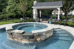 freeform-swimming-pool-in-maple-glenn-pa-1