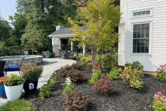 freeform-swimming-pool-in-maple-glenn-pa-3