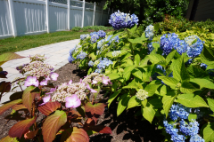 Front and Rear Landscaping in Hainsport (10)