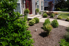 Front and Rear Landscaping in Hainsport (3)
