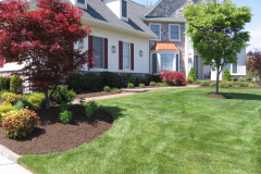 Front & Rear Pool Landscaping in Lumberton, NJ (7)