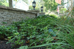 Hardscaping in Springfield Township (4)