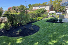 Swimming-Pool-in-Haddon-Township-3