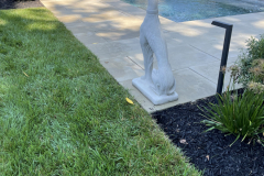 Swimming-Pool-in-Haddon-Township-6