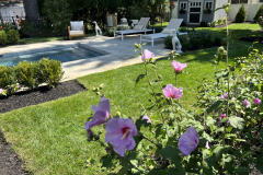 Swimming-Pool-in-Haddon-Township-8