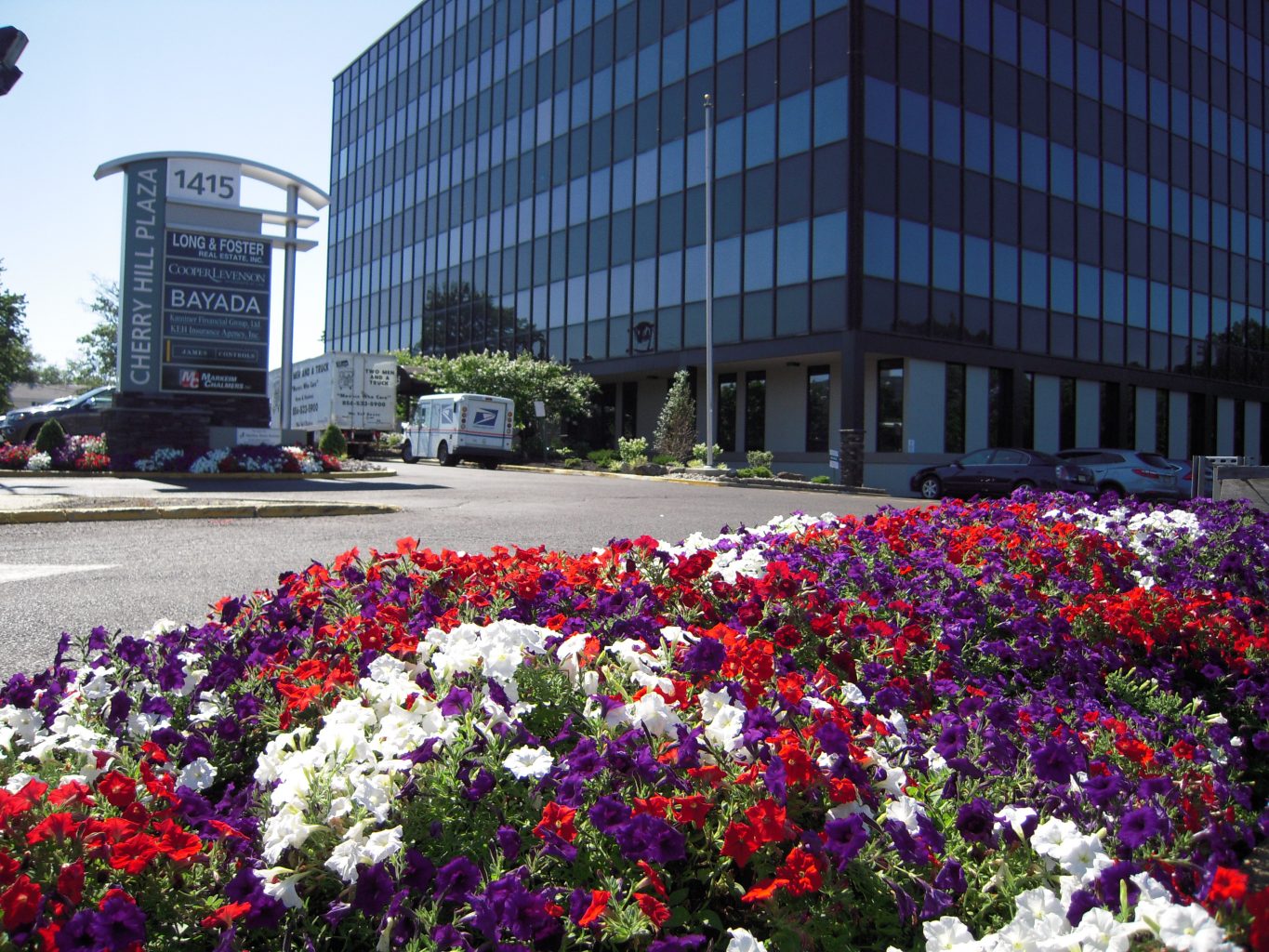 Commercial Landscaping SLS Landscaping NJ Lumberton