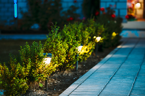 South Jersey Commercial Landscape Lighting Services