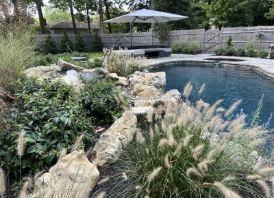 Freeform Swimming Pool in Westampton, NJ